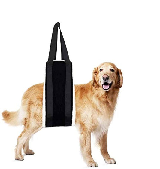 Senior dog wearing the Rear-Lift Support Sling, a padded fleece rear-support harness that fits 30 to 120 lbs